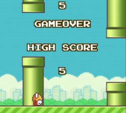 Flappy bird fail Meme Template