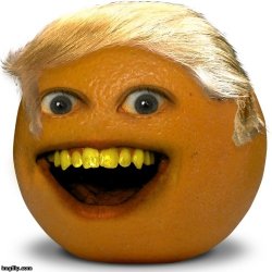AnnoyingTrump Meme Template