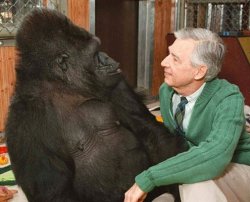 Mr Rogers and Harambe Meme Template