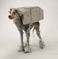 Star Wars Greyhound Meme Template