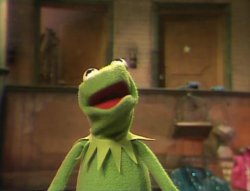 kermit cumming Meme Template