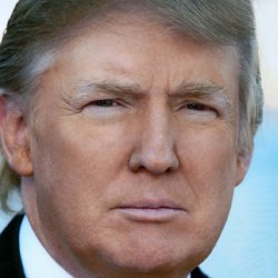 Don the Con Meme Template