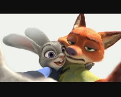 Zootopia selfies  Meme Template