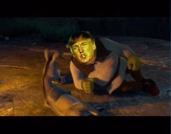 Shrek Trump wall Meme Template