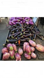Eggplants dm  Meme Template