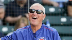 Laughing Joe Maddon  Meme Template