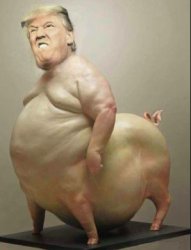 drumpf-pussy Meme Template