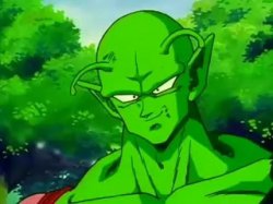 Piccolo Aprova Meme Template