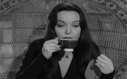 Morticia Addams Meme Template