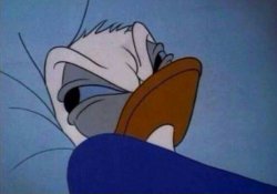 angry donald duck  Meme Template