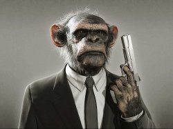 Chimpanzee with Gun Meme Template