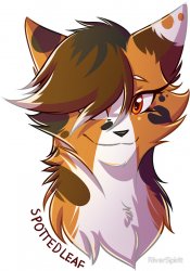 warrior cats Spottedleaf Meme Template