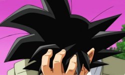 Goku facepalm Meme Template