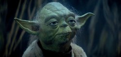 Disapointed Yoda Meme Template