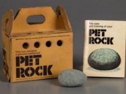 Pet rock Meme Template