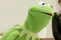 Did you know kermit Meme Template
