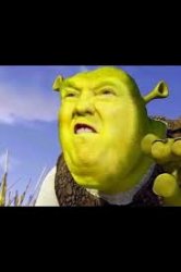 Trump Swamp Meme Template
