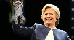Clinton Smelly Cat Meme Template