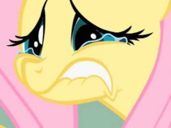Your Comment Made Fluttershy Cry Meme Template