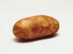 the rl potato Meme Template