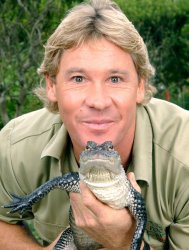 Steve Irwin Meme Template