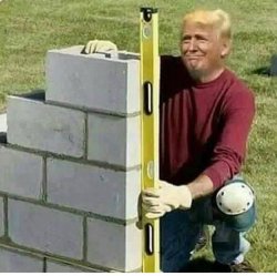 Trump_Wall Meme Template