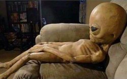 alien on sofa Meme Template