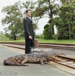 Crocodile on leash Meme Template