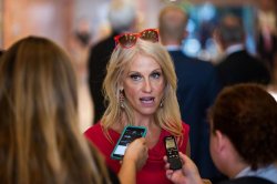Kellyanne Conway Meme Template