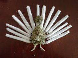 Marijuana Turkey Meme Template