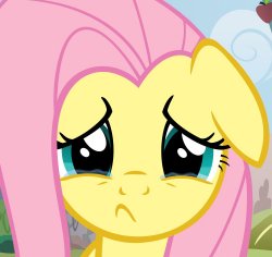 sad fluttershy Meme Template