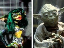 The Gremlin Lady & Yoda Meme Template