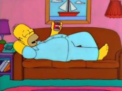 Homer Couch Meme Template