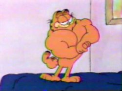 Muscular Garfield the Cat Meme Template