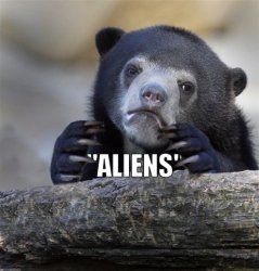 Aliens Bear Meme Template