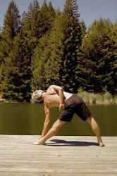 Triangle Pose Variation Meme Template