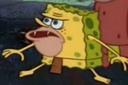 sponegar Meme Template
