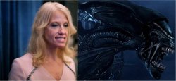 Kellyanne Conway Meme Template