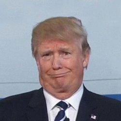 Con Don Meme Template