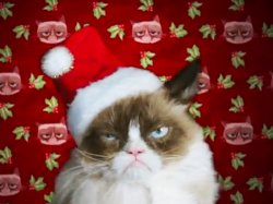 Grumpy xmas Meme Template