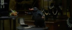Niffler Meme Template