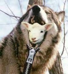 Sheep wolf Meme Template