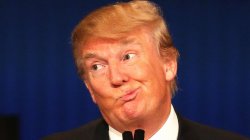 Trumpity Dumpity Meme Template
