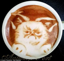 Grumpy Cat Coffee Meme Template