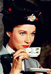 Marry Poppins Meme Template