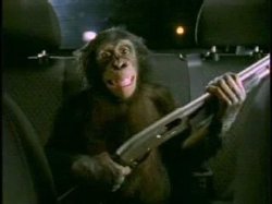MonkeyWithShotgun Meme Template