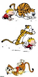 Calvin and Hobbes Puns Meme Template