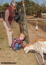 Donna.blondboy.peepers Meme Template