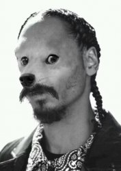Snoopdoge Meme Template