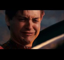 Spiderman crying Meme Template